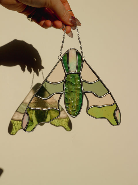 Lime-Hawk Moth