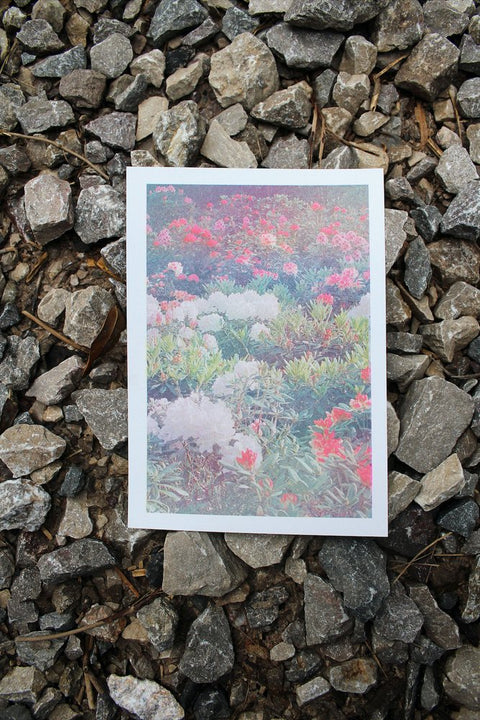 Colourful floral A5 risograph print on stone floor.