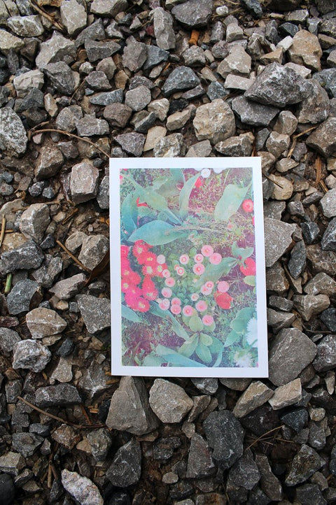 A vibrant A5 risograph print of pomponette flowers rests on a stony floor.