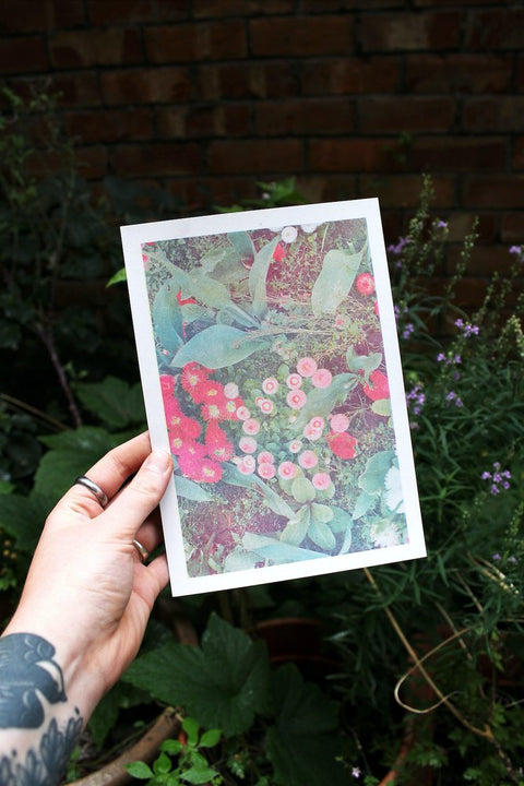 Hand holding A5 risograph print of pomponette flowers.