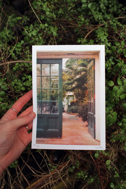 Hand holding A5 risograph print of scene in Sheffield Botanical Gardens.